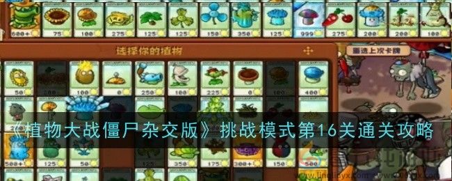 《植物大战僵尸杂交版》挑战模式第16关通关攻略(图1)