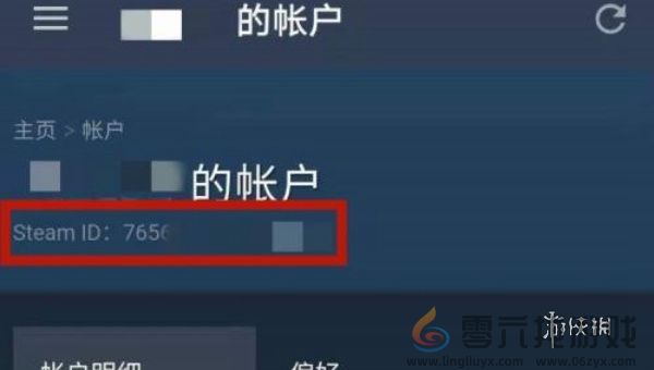 steam手机版17位id怎么查看(图2)