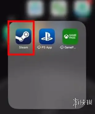 steam手机版17位id怎么查看(图1)